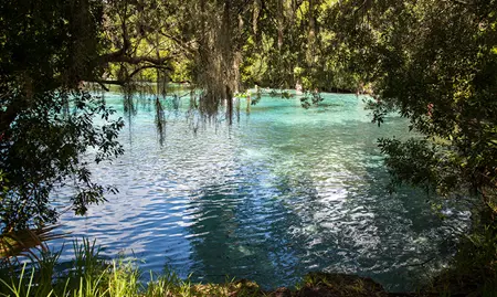 City_Silver Springs.jpg
