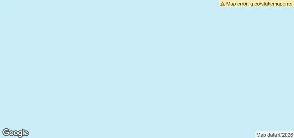 4554.webp