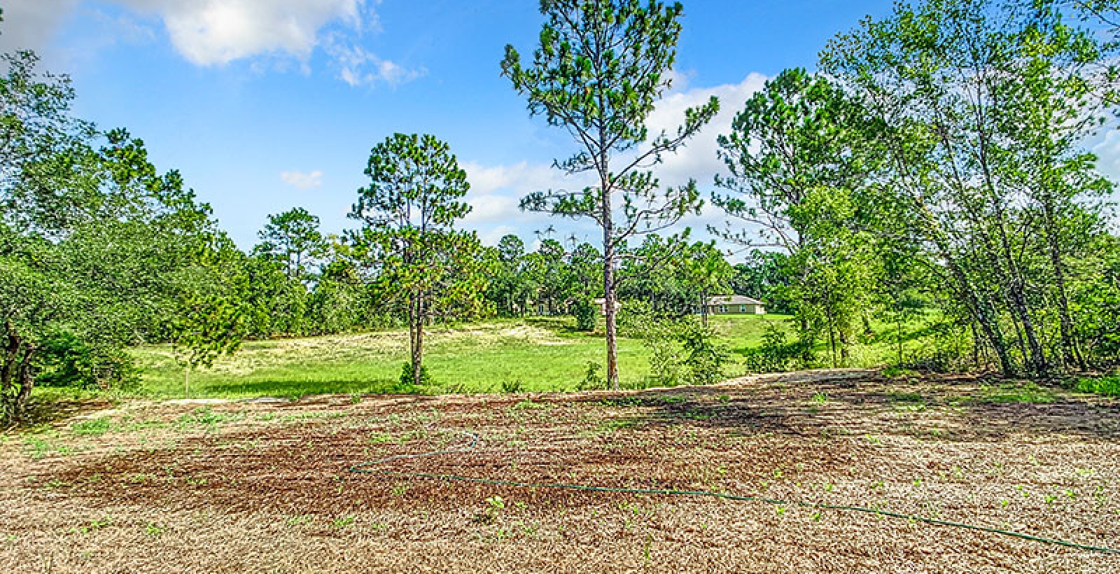 3015 W Gainesville Drive, Citrus Springs, Florida 34434, 4 Bedrooms Bedrooms, ,2 BathroomsBathrooms,Single Family,For Sale,W Gainesville Drive,1209